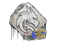 Sealed Graffiti | Team Spirit | Rio 2022