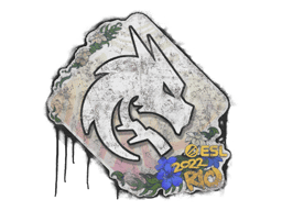 Sealed Graffiti | Team Spirit | Rio 2022