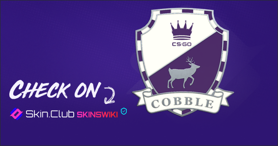 Cobblestone Pin - Skins Wiki