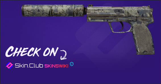 Souvenir USP-S | Night Ops (Well-Worn)