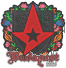 Sealed Graffiti | Astralis | Budapest 2025 image