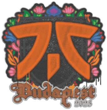 Sinetöity graffiti | Fnatic | Budapest 2025