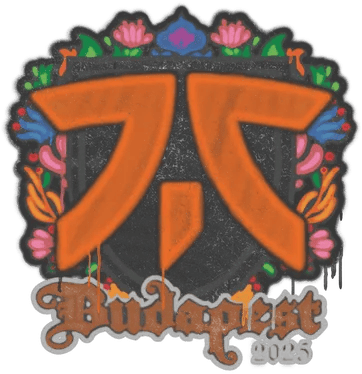 Graffiti nguyên bọc | Fnatic | Budapest 2025