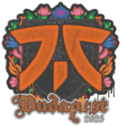 Sealed Graffiti | fnatic | Budapest 2025 Sealed Graffiti | fnatic | Budapest 2025 image