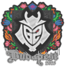 Sealed Graffiti | G2 esports | Budapest 2025 Sealed Graffiti | G2 esports | Budapest 2025 image