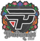 Sealed Graffiti | paiN Gaming | Budapest 2025 Sealed Graffiti | paiN Gaming | Budapest 2025 image