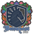 Sealed Graffiti | Team Liquid | Budapest 2025 image