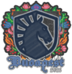 Sealed Graffiti | Team Liquid | Budapest 2025