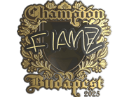Sticker | FlameZ (Gold, Champion) | Budapest 2025 image