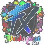 Sticker | Fluxo (Holo) | Budapest 2025
