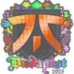Sticker | fnatic (Holo) | Budapest 2025