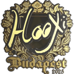Sticker | HooXi (Gold) | Budapest 2025