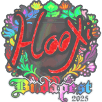 Sticker | HooXi (Holo) | Budapest 2025