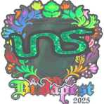 Sticker | INS (Holo) | Budapest 2025