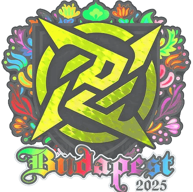 Sticker | Ninjas in Pyjamas (Holo) | Budapest 2025