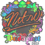 Sticker | nitr0 (Holo) | Budapest 2025