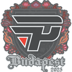 Sticker | paiN Gaming | Budapest 2025