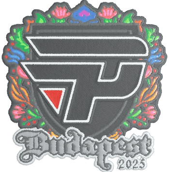 印花 | paiN Gaming（刺绣）| 2025年布达佩斯锦标赛