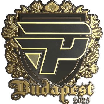 印花 | paiN Gaming（金色）| 2025年布达佩斯锦标赛