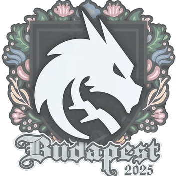 Sticker | Team Spirit | Budapest 2025
