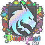 Sticker | Team Spirit (Holo) | Budapest 2025