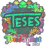 Sticker | TeSeS (Holo) | Budapest 2025