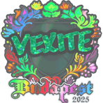 Sticker | vexite (Holo) | Budapest 2025