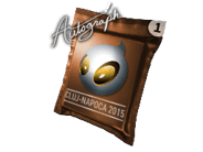 亲笔签名胶囊 | Team Dignitas | 2015年克卢日-纳波卡锦标赛