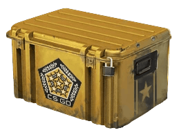 Cases icon