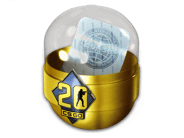 反恐精英20周年印花胶囊