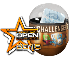 2015年 DreamHack 克卢日-纳波卡锦标赛挑战组（闪亮）