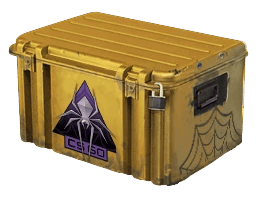 Cases icon