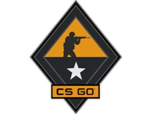 武器交易收藏皮肤