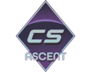 Ascent-kokoelman skinit