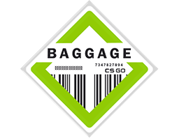 Die Skins der Baggage-Kollektion