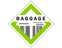 Skins da Coleção Baggage