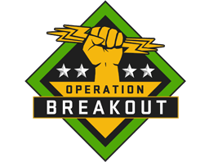 브레이크아웃 컬렉션 스킨