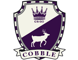 Die Skins der Cobblestone-Kollektion