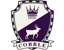 Die Skins der Cobblestone-Kollektion