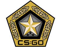 Gamma-kokoelman skinit