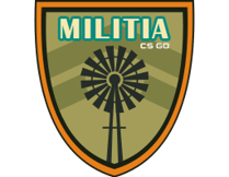 The Militia Collection Skins