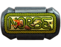 Skins de la Collection Nordique