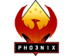 สกินคอลเลกชัน The Phoenix