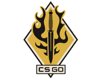 스펙트럼 컬렉션 스킨