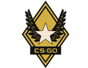 Die Skins der Winter Offensive-Kollektion