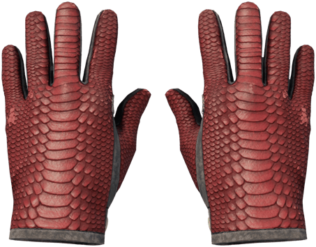 ★ Găng tay lái xe (★) | Dragon Fists (Qua thực chiến)