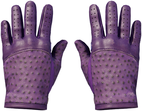 ★ Driver Gloves | Plum Quill (Field-tested)
