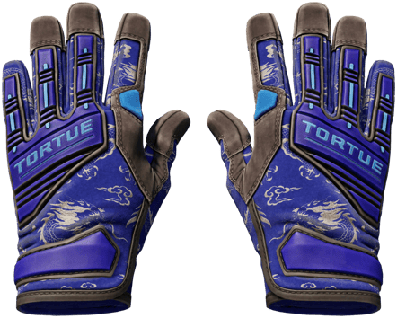 ★ Specialist Gloves | Cloud Chaser (Field-tested)