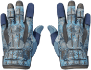 Sport Gloves | Frosty image