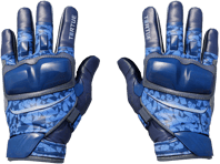 Moto Gloves | Polygon